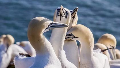 欧冠直播入口-官方：B费当选英超11月最佳球员 不到1年已3次获奖